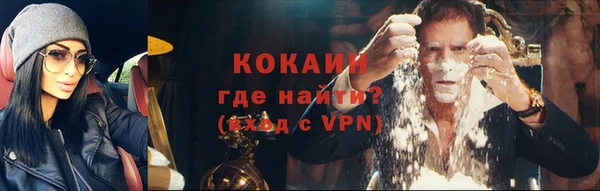МДПВ Дмитров