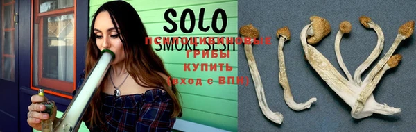 МДПВ Дмитров