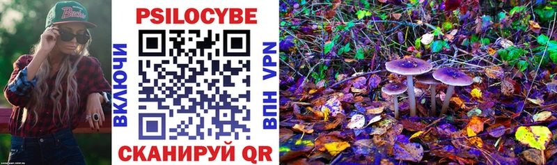 Псилоцибиновые грибы Psilocybine cubensis  Купить закладки  Михайловка 